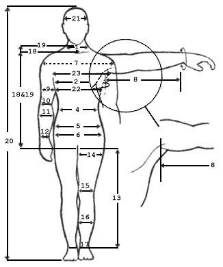 Body Measurement Chart For Tailoring
